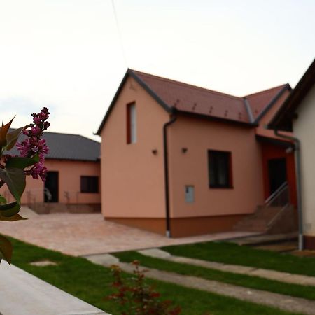 Agroturizam Opg Jakopovic Caglin Exterior foto